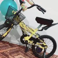دوچرخه دخترانه درحد