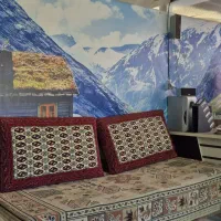 نیرو کارواش
