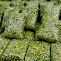 باقالا سبز نخود فرنگی لوبیا سبز باقالی