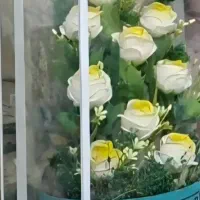 باکس گل