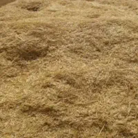 کاه جو دیم