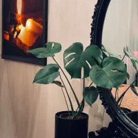 واحد-اجاره-ای-کوتاه-مدت-مبله