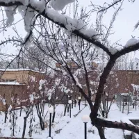 ویلا باغ