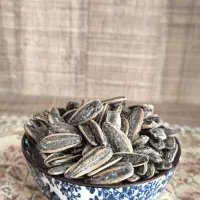 تخمه افتابگردان کانادایی