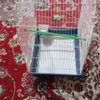 قفس|لوازم جانبی حیوانات|رشت, آب و برق|دیوار