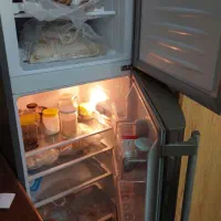 یخچال electro steal چهارده فوت