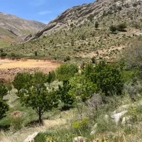 باغچه بکر در خوش آب و هواترین منطقه سپیدان کهکران