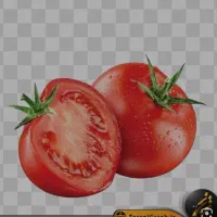 آبگیری گوجه در محل