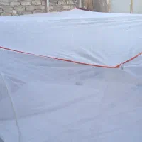 پشه بند