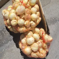 پیاز