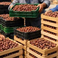 استخدام نیرو آقا در شهرک صنعتی شماره‌ یک ابادان