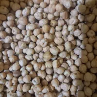 نخود ابگوشت