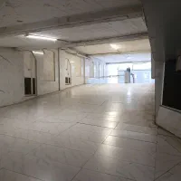 استخدام نیروی پارکبان