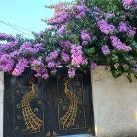 ۳۱۳متر کلنگی آپادانا نوبخت سهروردی شمالی