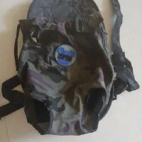 آغوشی گربه و سگ