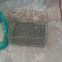 قفس|لوازم جانبی حیوانات|ایوان, |دیوار