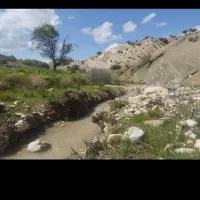 کشاورزی