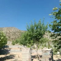 باغ-شهر-در-بهترین-نقطه-منطقه