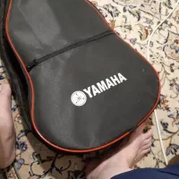 گیتار نو فوری فروشی