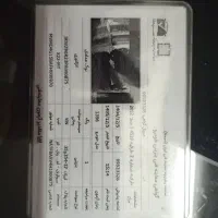 فروش 22xمدل 96رنگ نوک مدادی بدون رنگ اسکلنت|خودرو سواری و وانت|مشهد, توس (بلوار توس)|دیوار