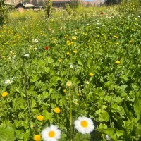 استخدام منشی و سفارشگیر و ظرفشور و سالن دار و ....