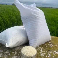 برنج طارم هاشمی کشت اول