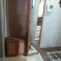 جاکفشی آیینه دار