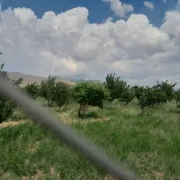 باغ ویلا الینجه النجق بناب مرند معاوضه