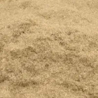 30تن کاه سفید دیم  ریز ریز نرم
