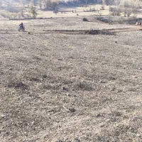 زمین-مسکونی-در-بره-سر