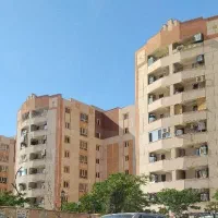 فاز پنجم نقاشان