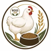 دان جوجه مرغ گوشتی و بوقلمون بیوتی و تخم گذار