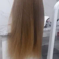 کله مایکن برای اریشگاه وسایل شنیون و میکاب صندلی