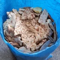 نان.خشگ|لوازم جانبی حیوانات|اراک, |دیوار