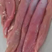 گوشت  مرغ تازه  منجمد عمده