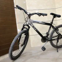 دوچرخه ویوا اصل تایوان