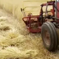 دروگر|ماشینآلات صنعتی|ترکمانچای, |دیوار