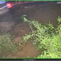 رهن-و-اجاره