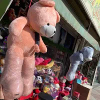 به قیمت عمده