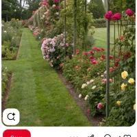 سرایدار باغ