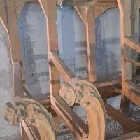 فرهی اسکلت سلطنتی خام