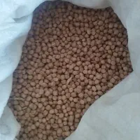 نخود امسال