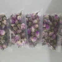 غنچه و گل محمدی