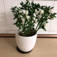 گلدان گل چینی کاردست گلبرجسته گلسرخی