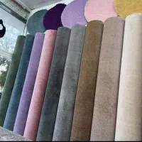 پالازموکت پارامیس(موکت تندیس) ۲۴۴۰
