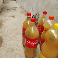 فروش آبغوره طبیعی و تازه و محلی