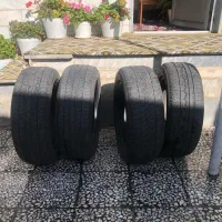 ۴عدلاستیک سالم