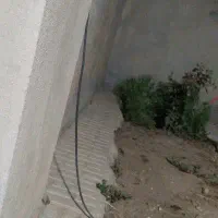 فروش نخود