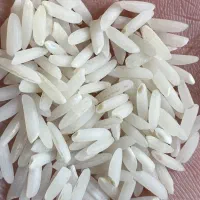 برنج طارم هاشمی ۲ بوجار شده (محصول شالیزار خودم)
