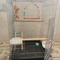قفس پرنده